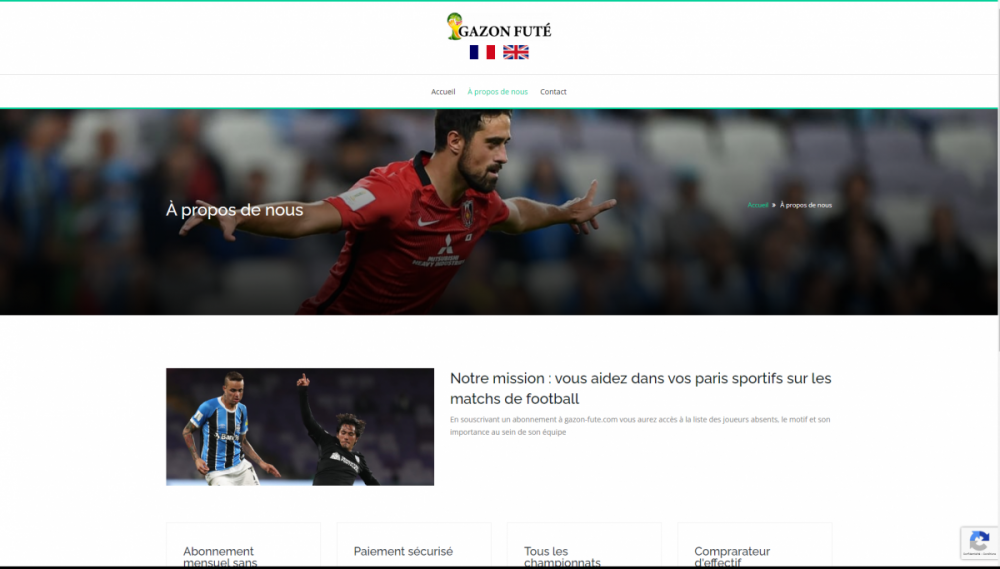 Gazon futé